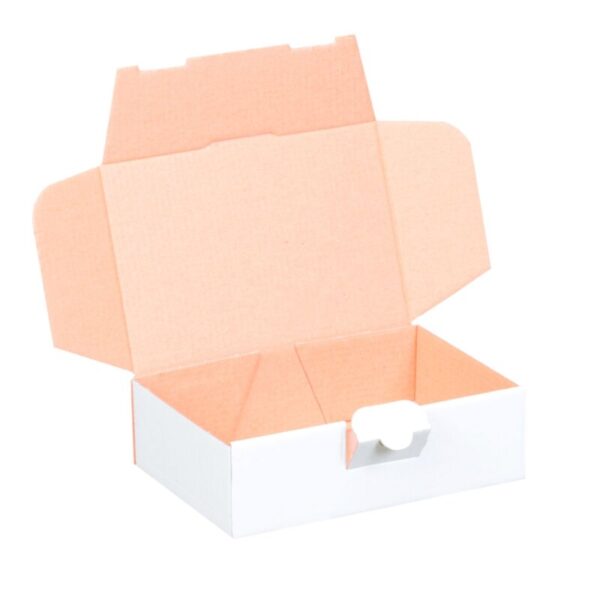 maxibriefkarton-160-x-110-x-50-mm-weiss~8