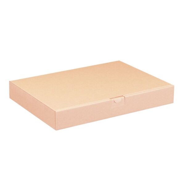 maxibriefkarton-350-x-250-x-50-mm-braun~5