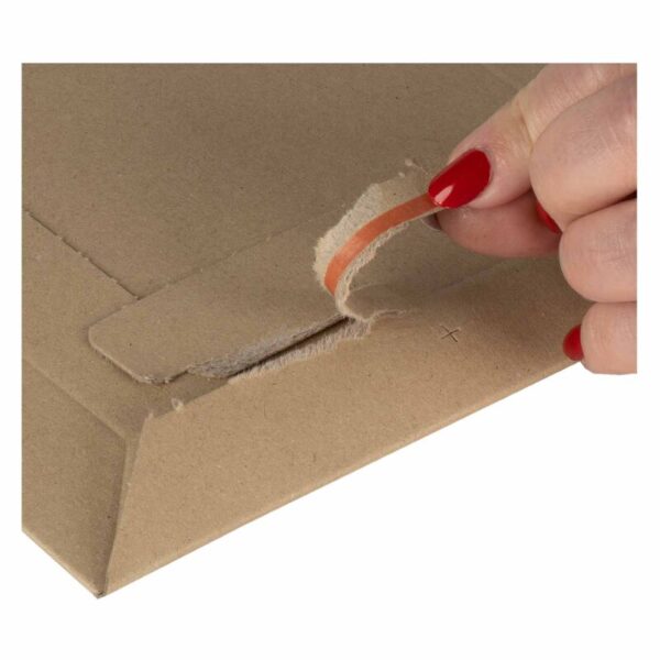 versandtasche-250x353x25-mm-mit-variabler-hoehe-selbstklebeverschluss-aufreissfaden~7