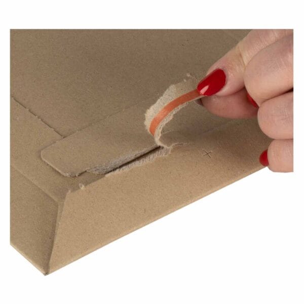 versandtasche-250x353x25-mm-mit-variabler-hoehe-selbstklebeverschluss-aufreissfaden~7